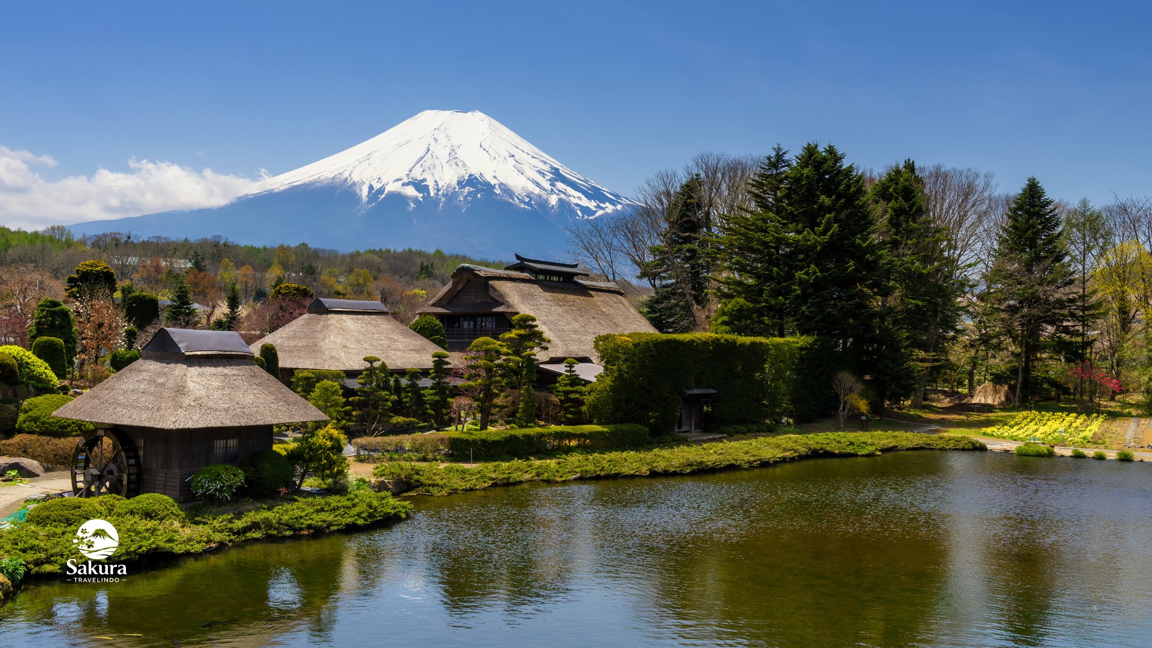 SUPER SALE JAPAN GOLDEN ROUTE +  KAWAGOE OLD TOWN