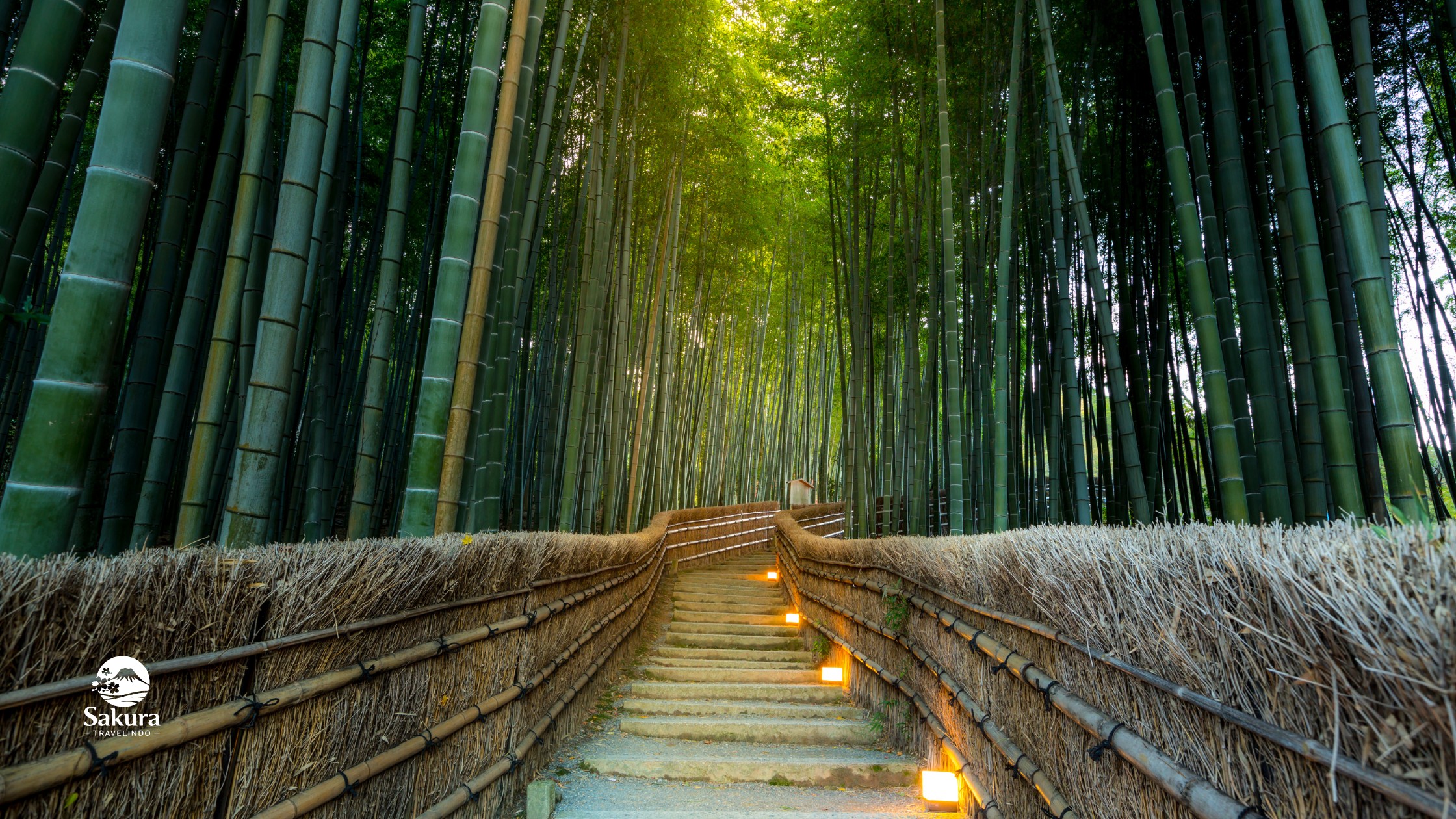 SUPER SALE JAPAN GOLDEN ROUTE +  KAWAGOE OLD TOWN